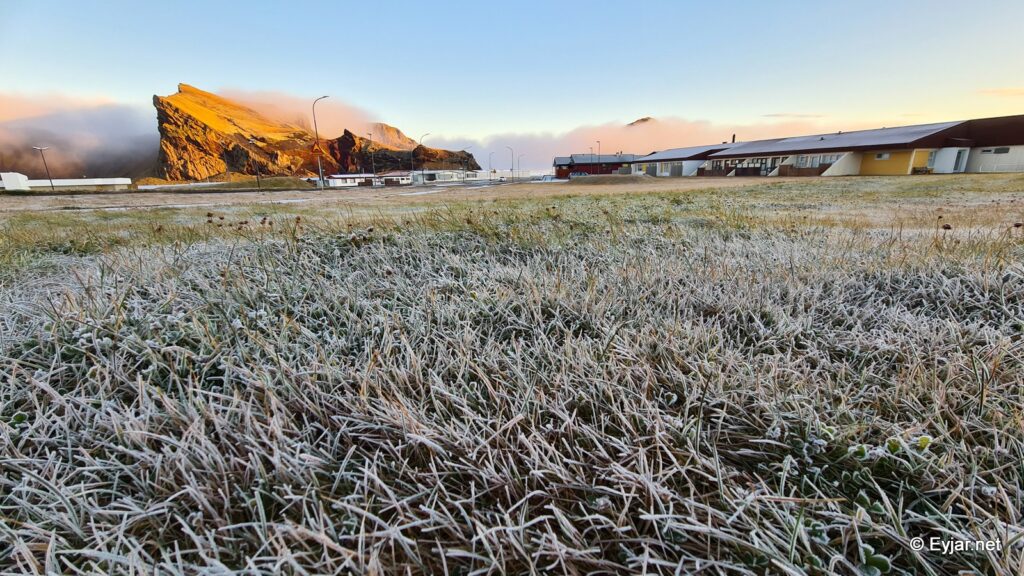 frost_gras