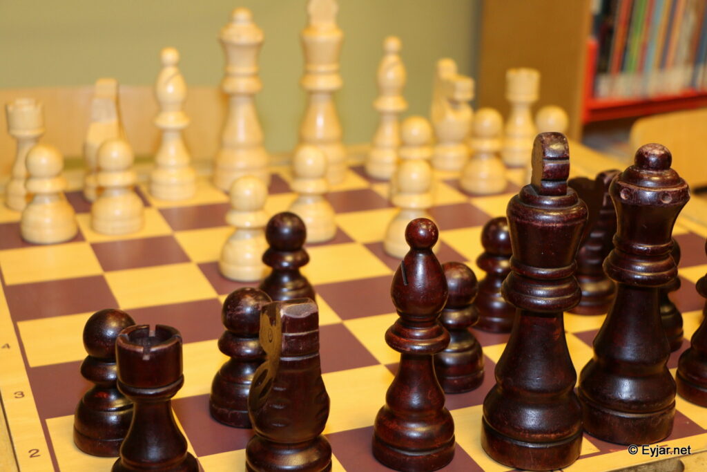 skak_tafl