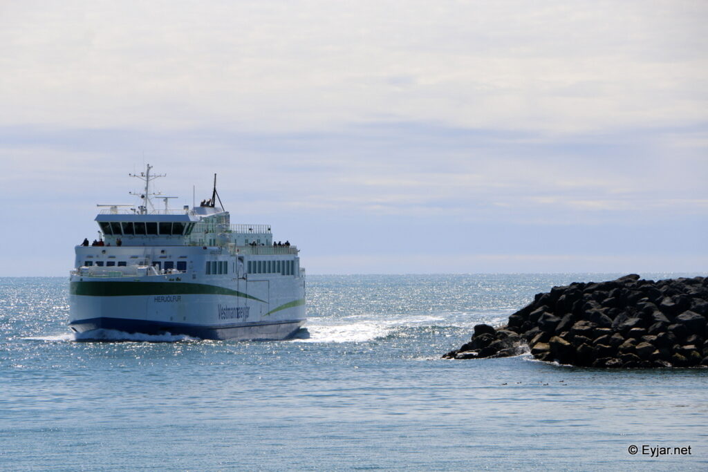 herjolfur_lan_062020