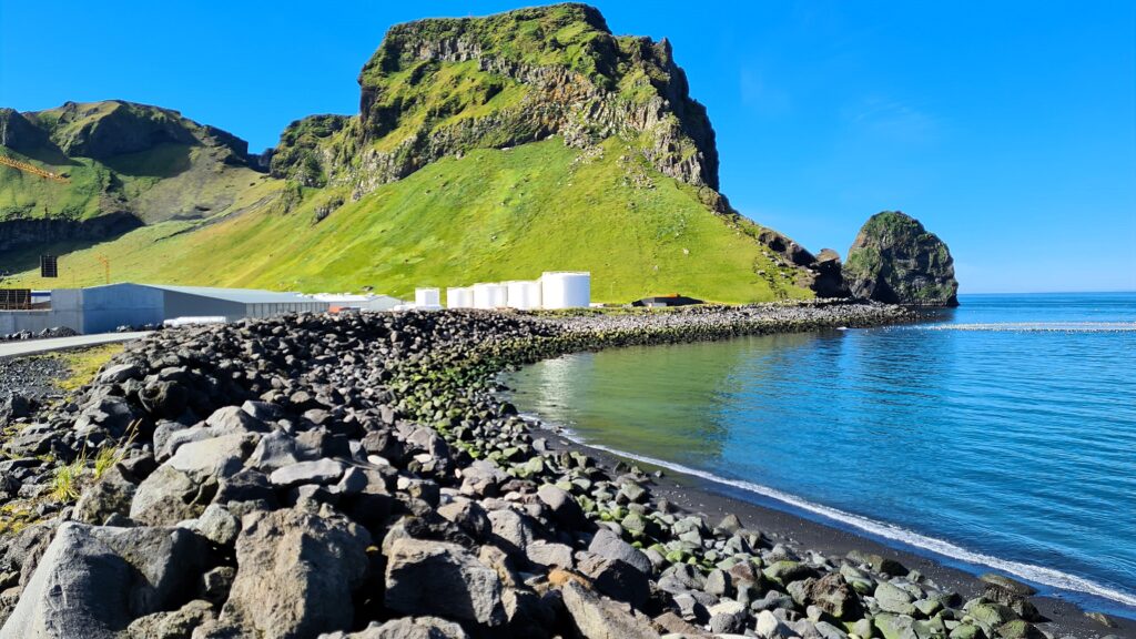 Eidid_TMS_20220816_132327