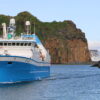 IMG 7791