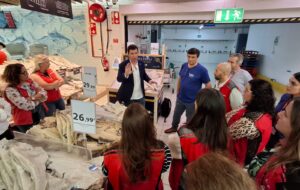 Porto IMG 20251101 WA0005