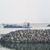 Alfsnes 20260506 200725