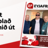 Vefblad Landsv